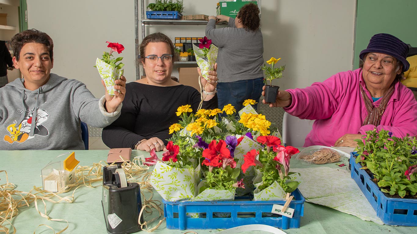 רצף שירותי תעסוקה
