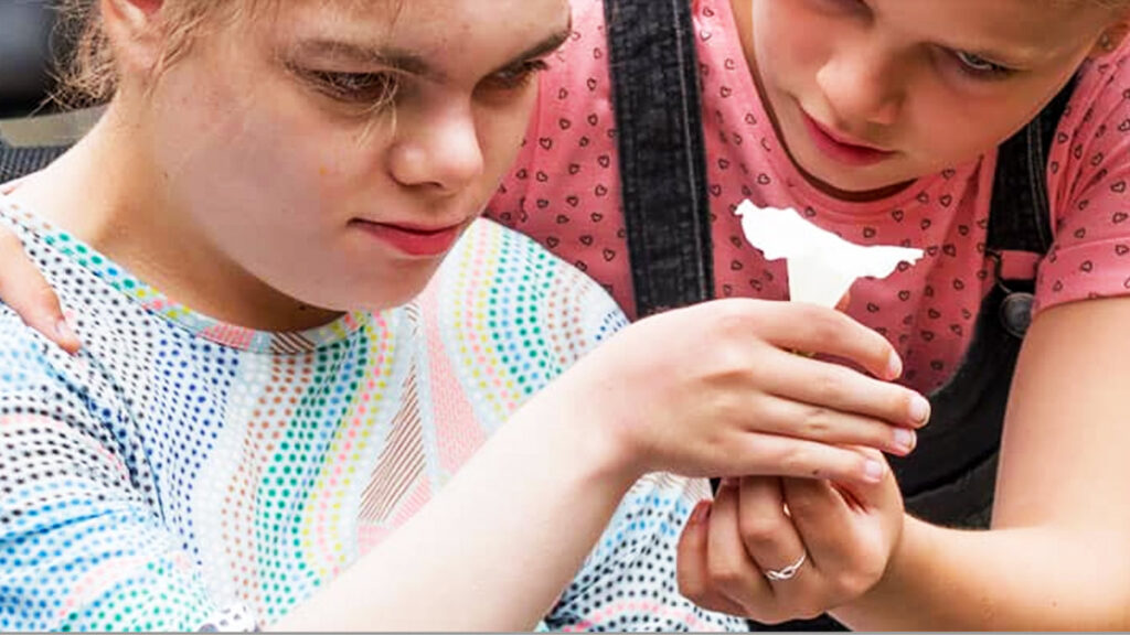 מרכזי יום טיפוליים סיעודיים לבוגרים